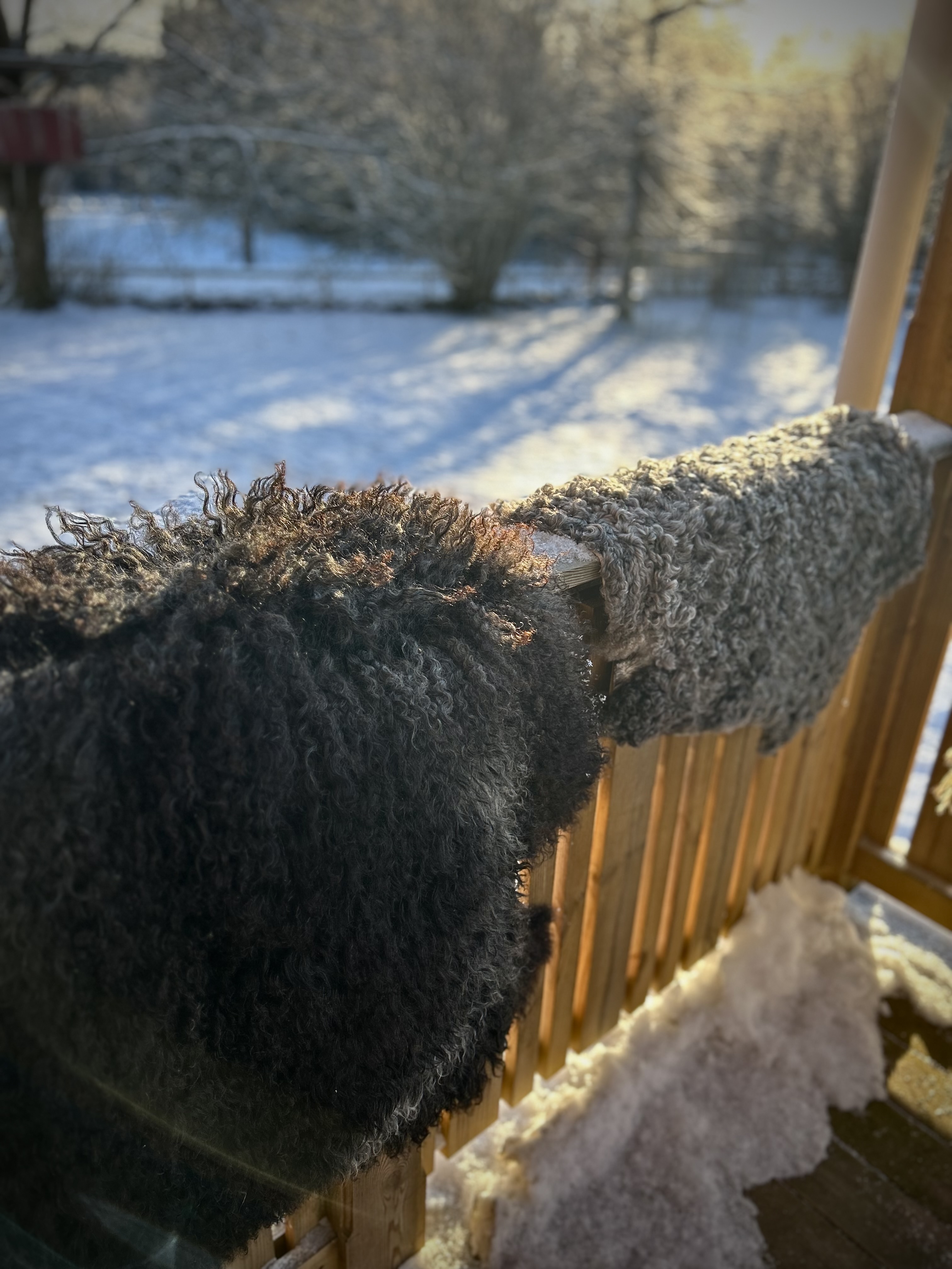Long-haired sheepskin - 3