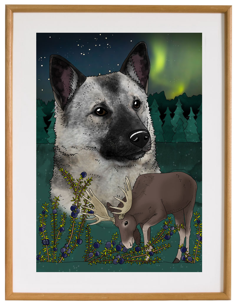 Affisch Gråhund, 30x40 cm