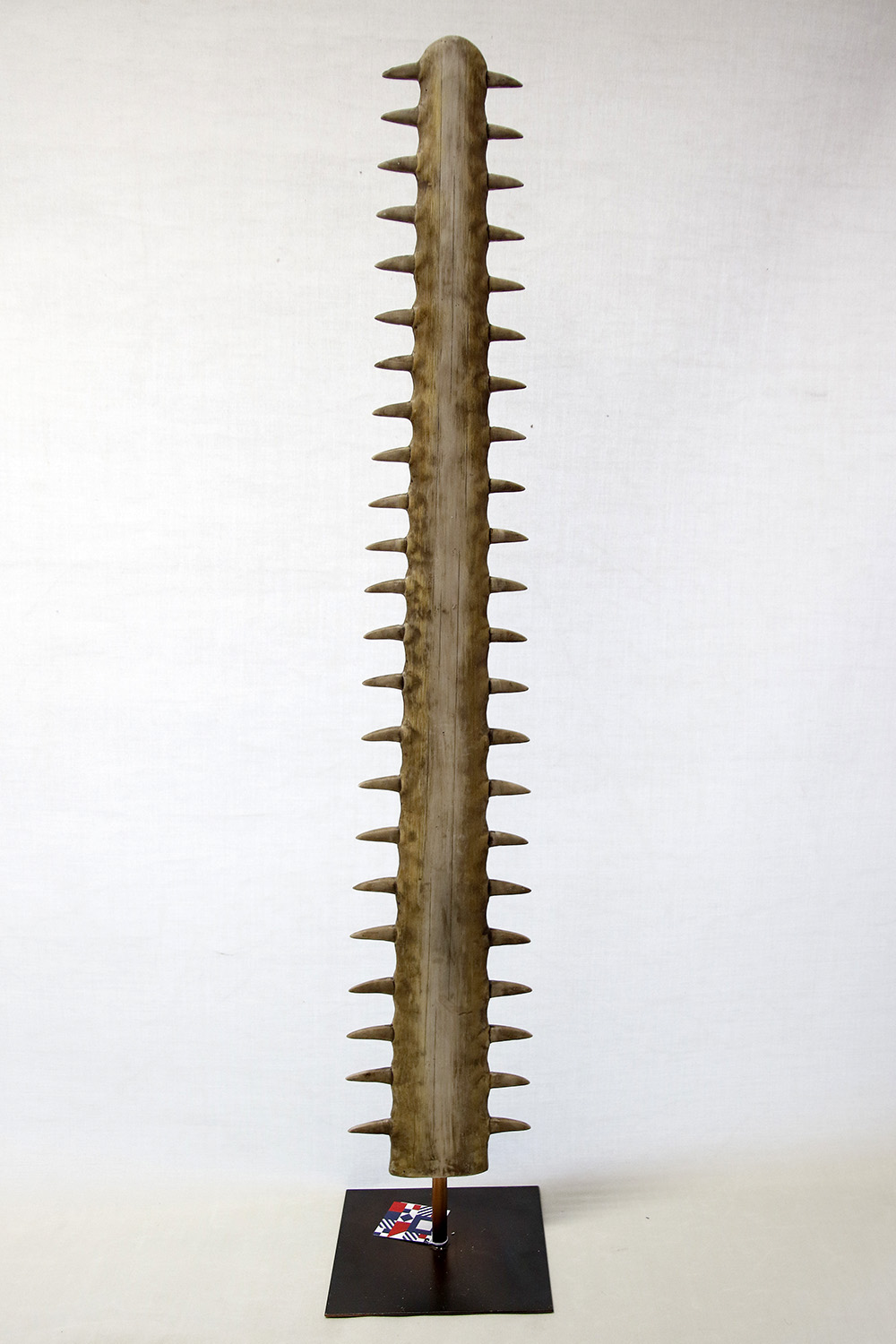 Sawfish Rostrum 109x20 cm - 3