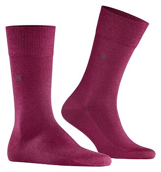  Burlington Leeds Virgin Wool Burgundy Miesten