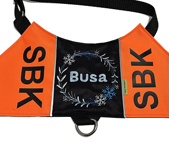 Tjänstetecken SBK SÖK med ring - Personlig brodyr
