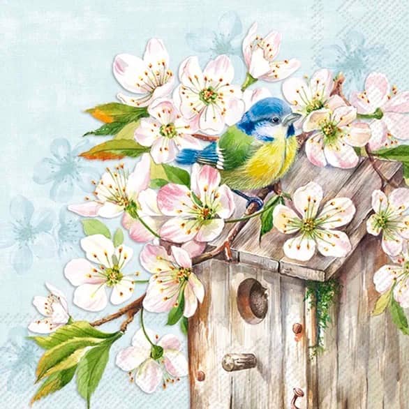 Pappersservett från IHR med akvarellmotiv av en blåmes på en fågelholk omgiven av blommande körsbärsblommor.