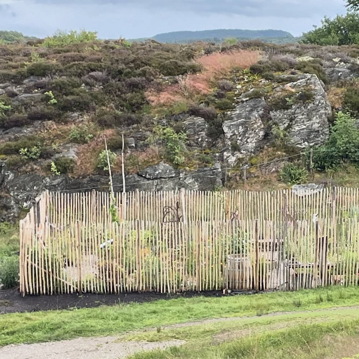 Kastanjestaket tätt, höjd 175 cm längd 5 meter, franskt - 3