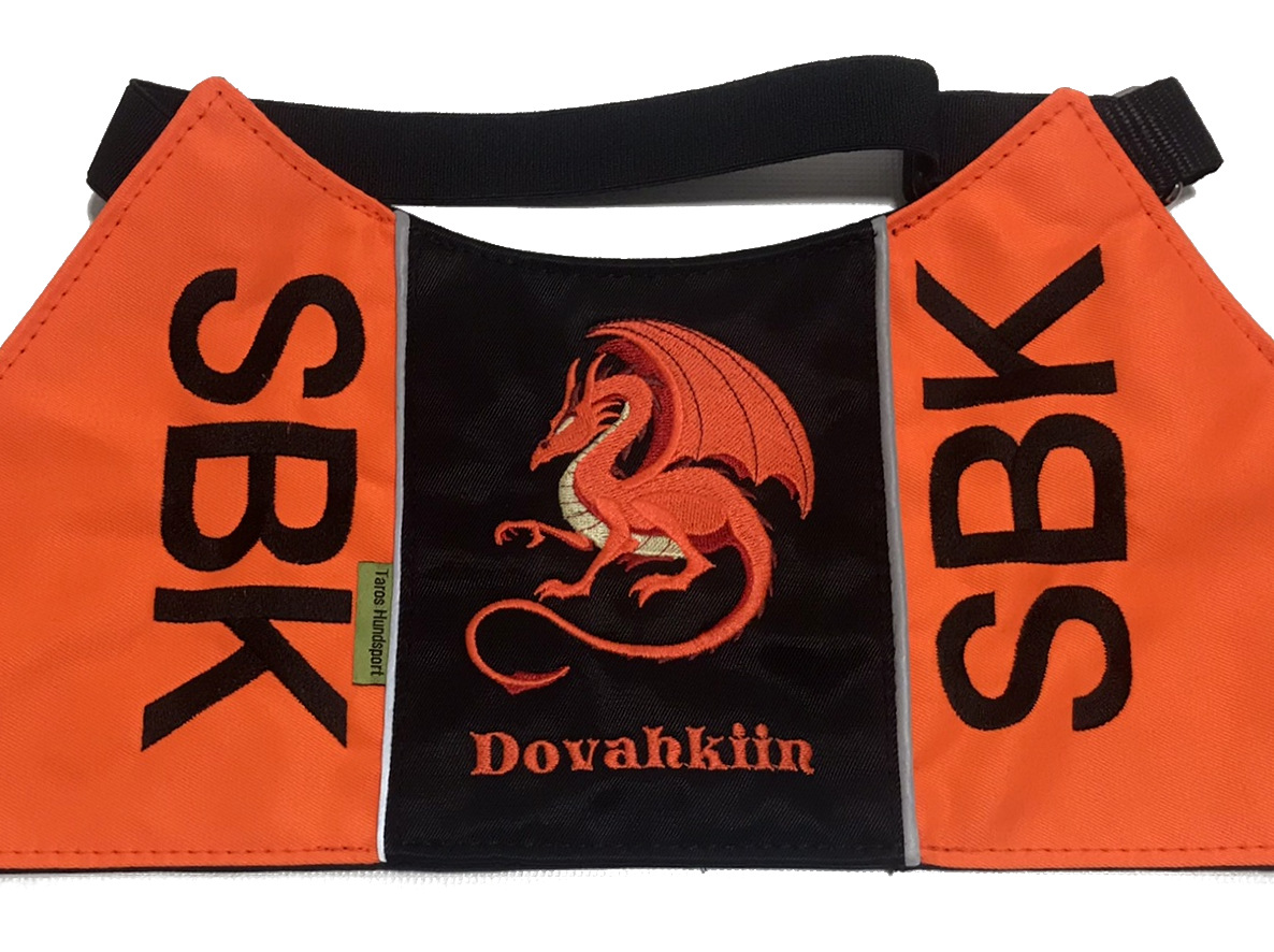 Drake, orange - Brodyr 2 - 3