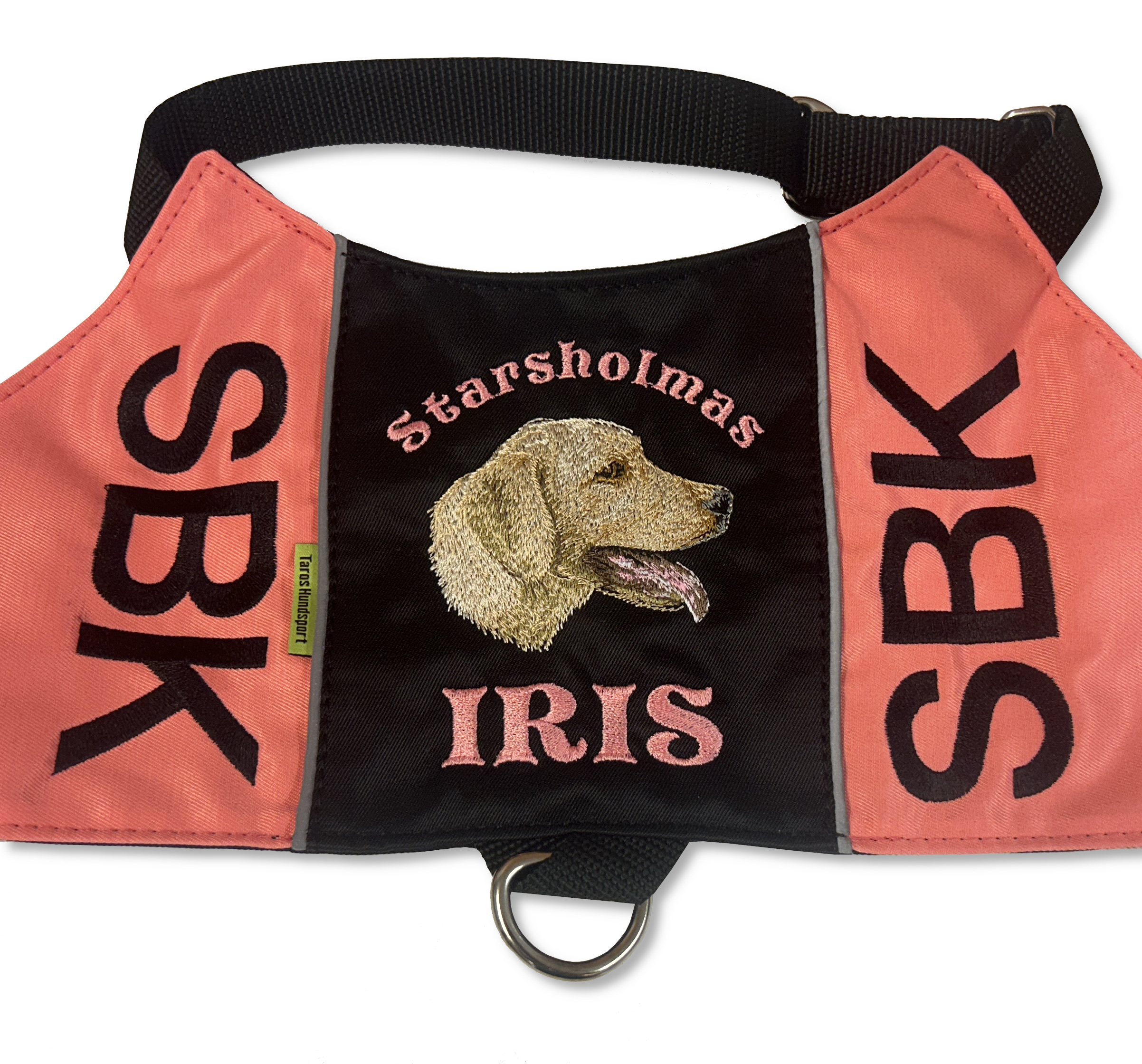Labrador retriever gul - Brodyr 22 - 2