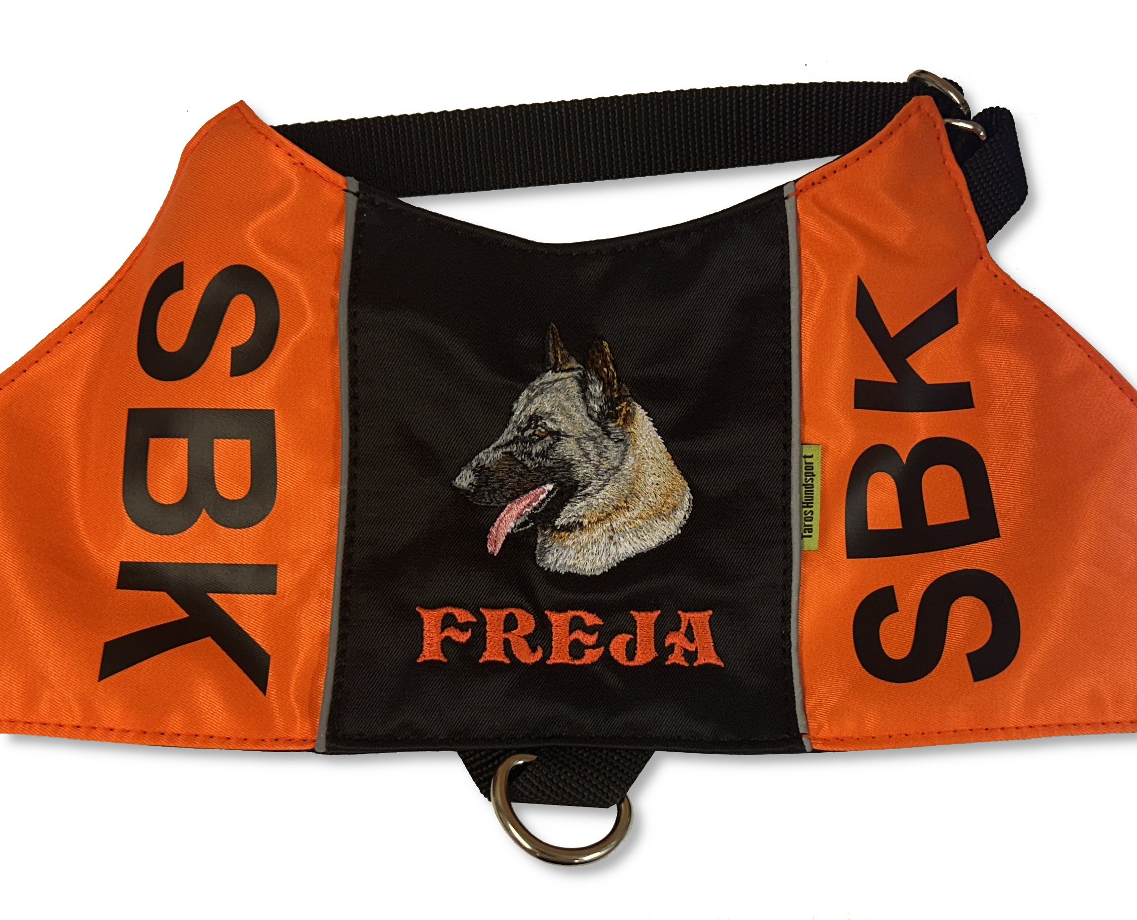 Belgisk vallhund malinois - Brodyr 34 - 3