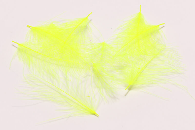 CDC - Hareline - 5