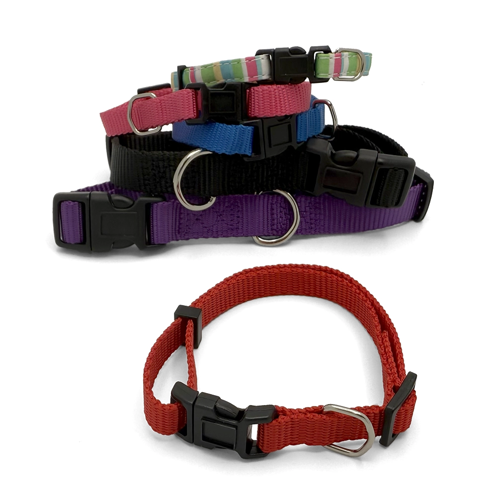 Big kit for your puppy - 9