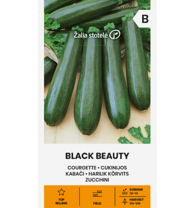 Squash "Black Beauty"