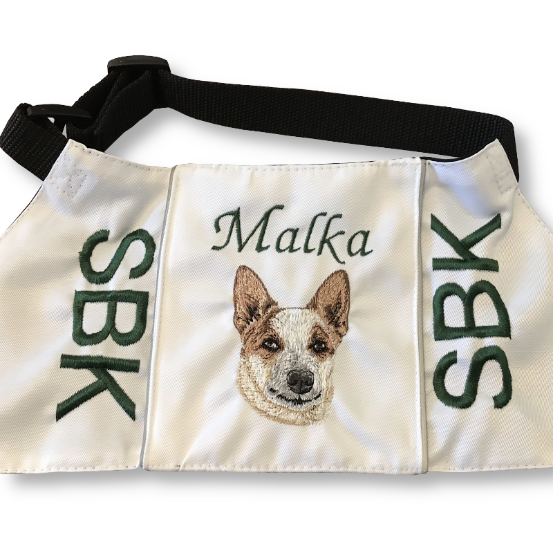 Australian cattle dog, red heeler - Brodyr 54 - 2