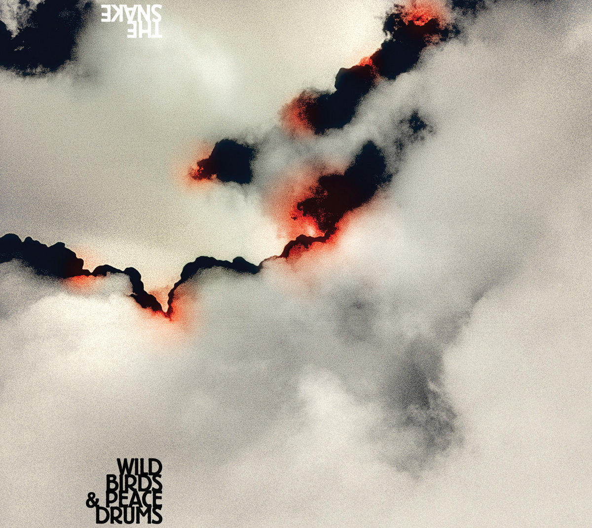Wildbirds & Peacedrums: Snake (Vinyl, LP)