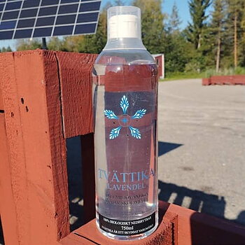 Tvättika, Lavendel, Grunne