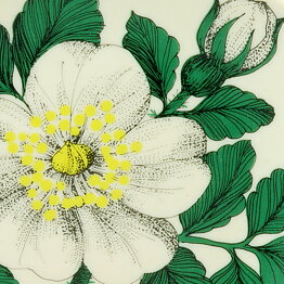 Esteri Tomula (Botanica 1980) Burnet Rose Wall Plaque 13 cm