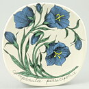 Esteri Tomula (Botanica 1982) Peach-Leaved Bellflower Wall Plaque 13 cm