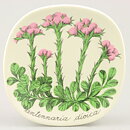 エステリ・トムラ  Botanicaシリーズ  エゾノチチコグサ  陶板  Wall Plaque  1984年   13 cm