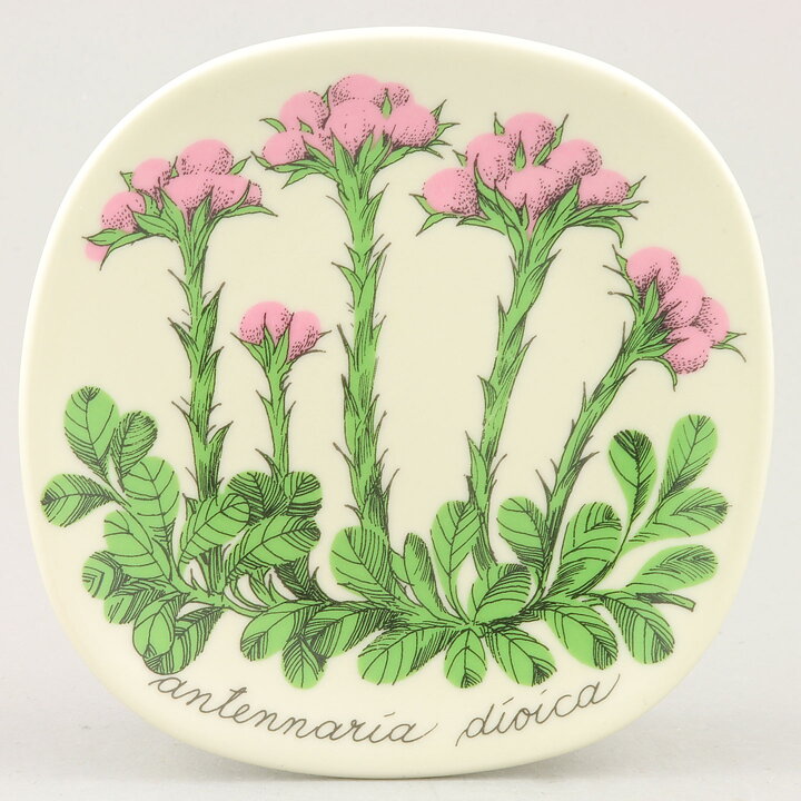 エステリ・トムラ  Botanicaシリーズ  エゾノチチコグサ  陶板  Wall Plaque  1984年   13 cm