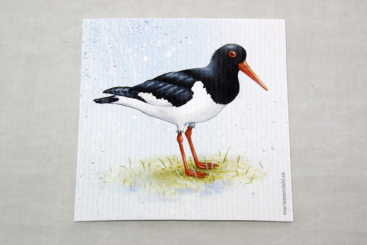 Dishcloth Wettex Coast 20x17 cm - 3