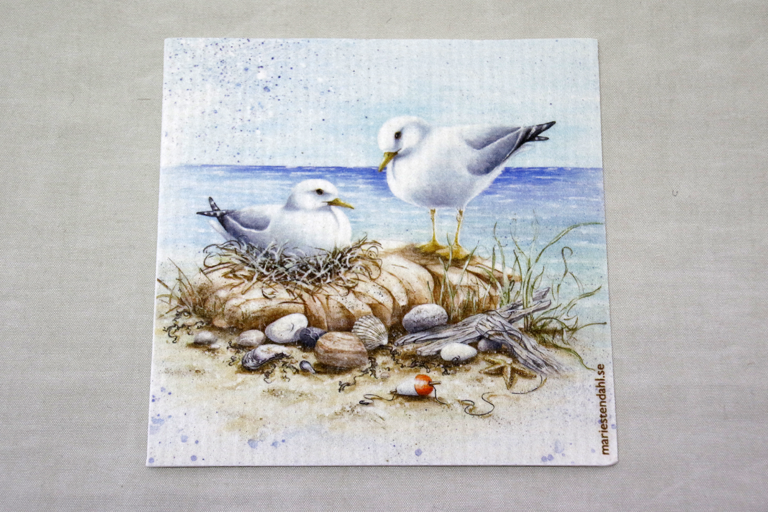 Dishcloth Wettex Coast 20x17 cm - 4