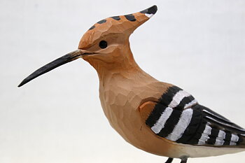 Eurasian hoopoe Wood 24x16 cm