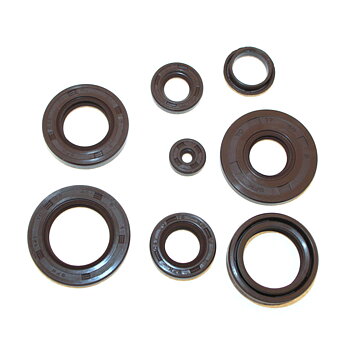 Packbox-Set Viton für Yamaha FS1, Beste Packboxen für Ihren FS1