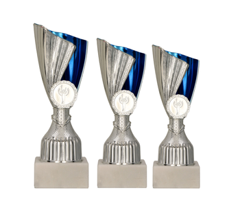 Pokal Borås