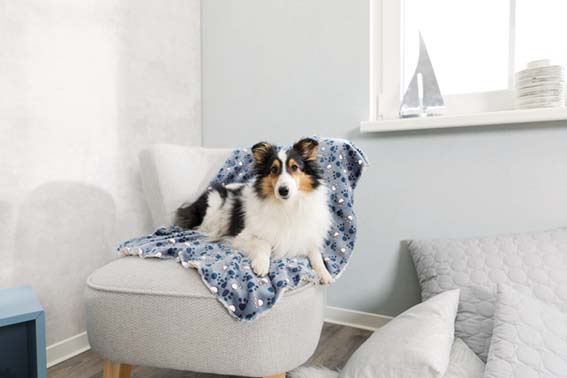 Trixie Tammy Plysch Filt 100x70cm Blå/Beige  - 5