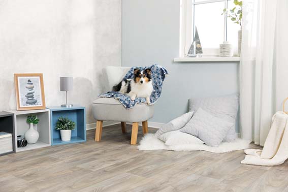 Trixie Tammy Plysch Filt 100x70cm Blå/Beige  - 6