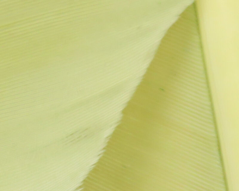 Turkey Biot Quills - 11