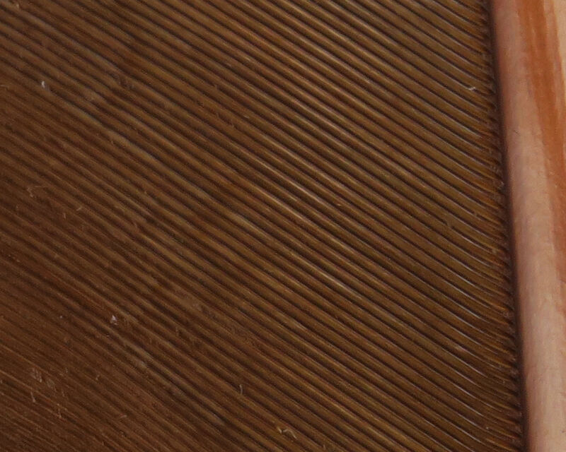 Turkey Biot Quills - 18