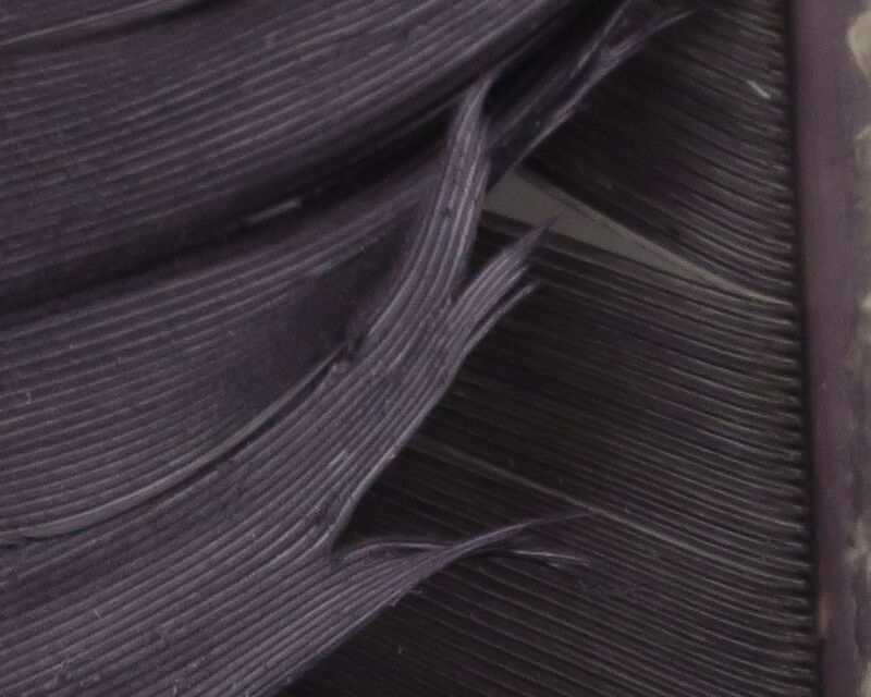 Turkey Biot Quills - 25