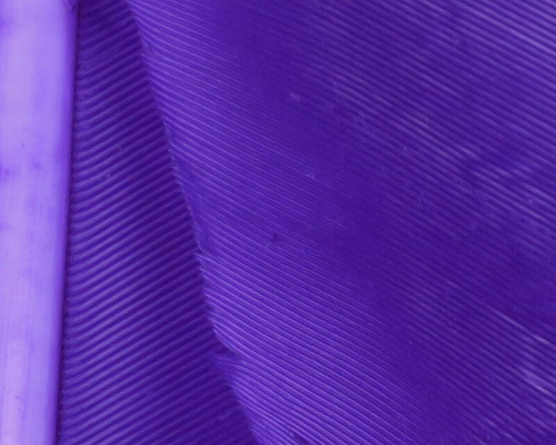 Turkey Biot Quills - 13