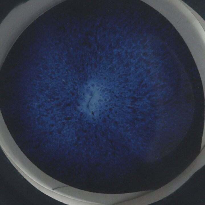 スティグ・リンドベリ Azurシリーズ 　葉っぱ型の器 (16/8cm)  1958年