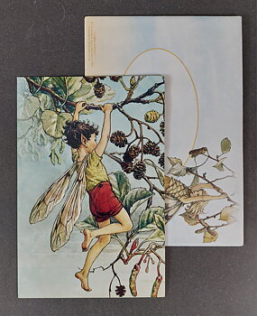 Vykort med Kuvert - Cicely Mary Barker, "Alder Fairy"