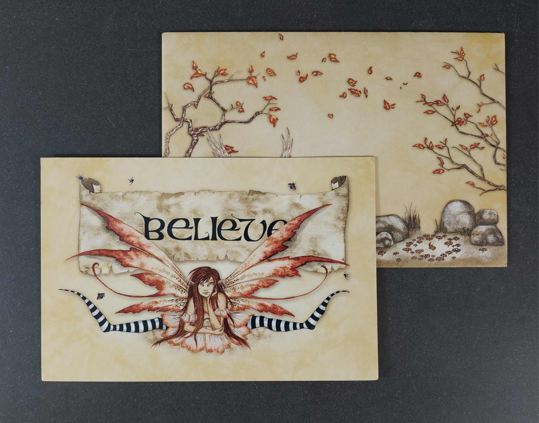 Vykort med Kuvert - Amy Brown, "Believe"