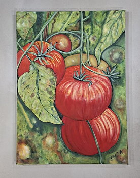  Tomatoes