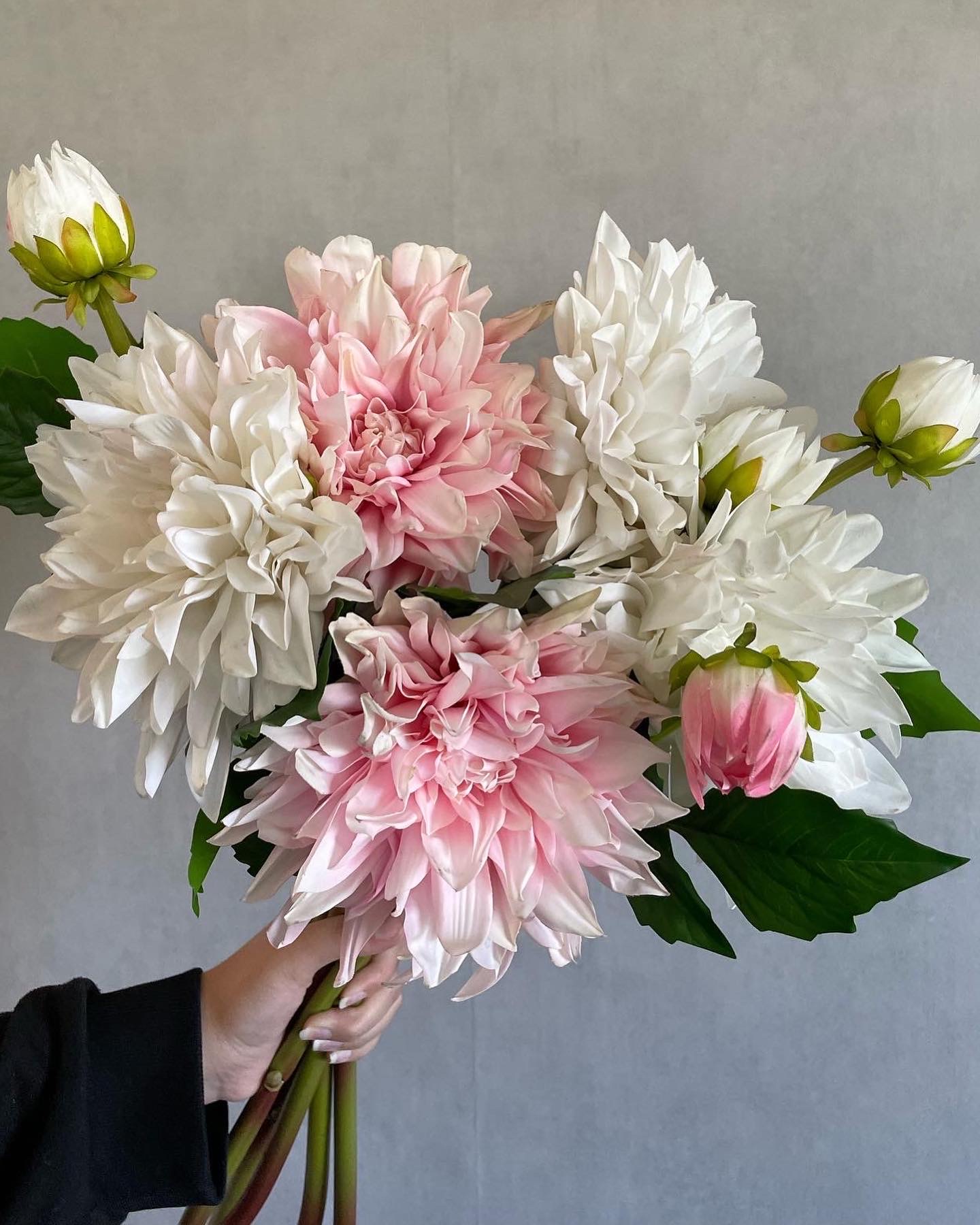 Dahlia - Light Pink - Real Touch - 70 cm - 2