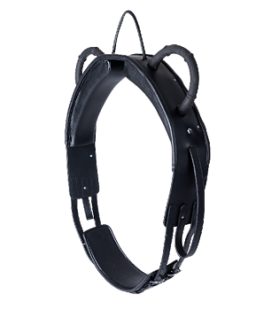 Lunging- and Vaulting Surcingle, leather, black