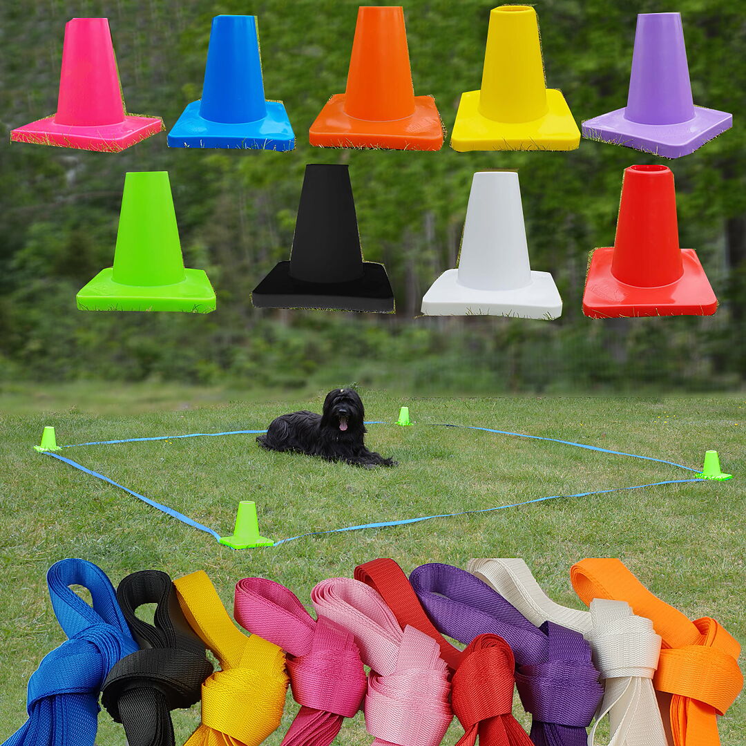 Jami Hundsport Lydnadsruta 