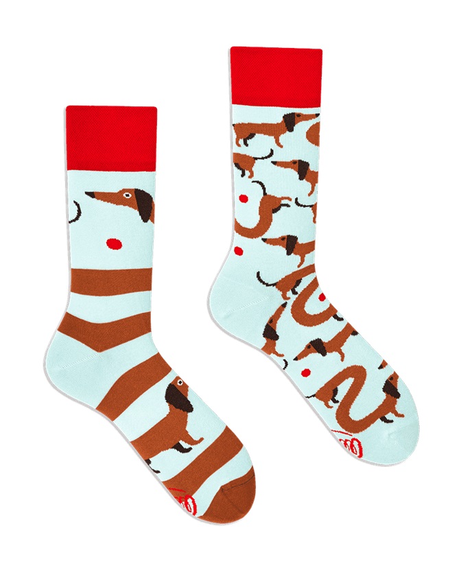 Many Mornings Sausage Dog