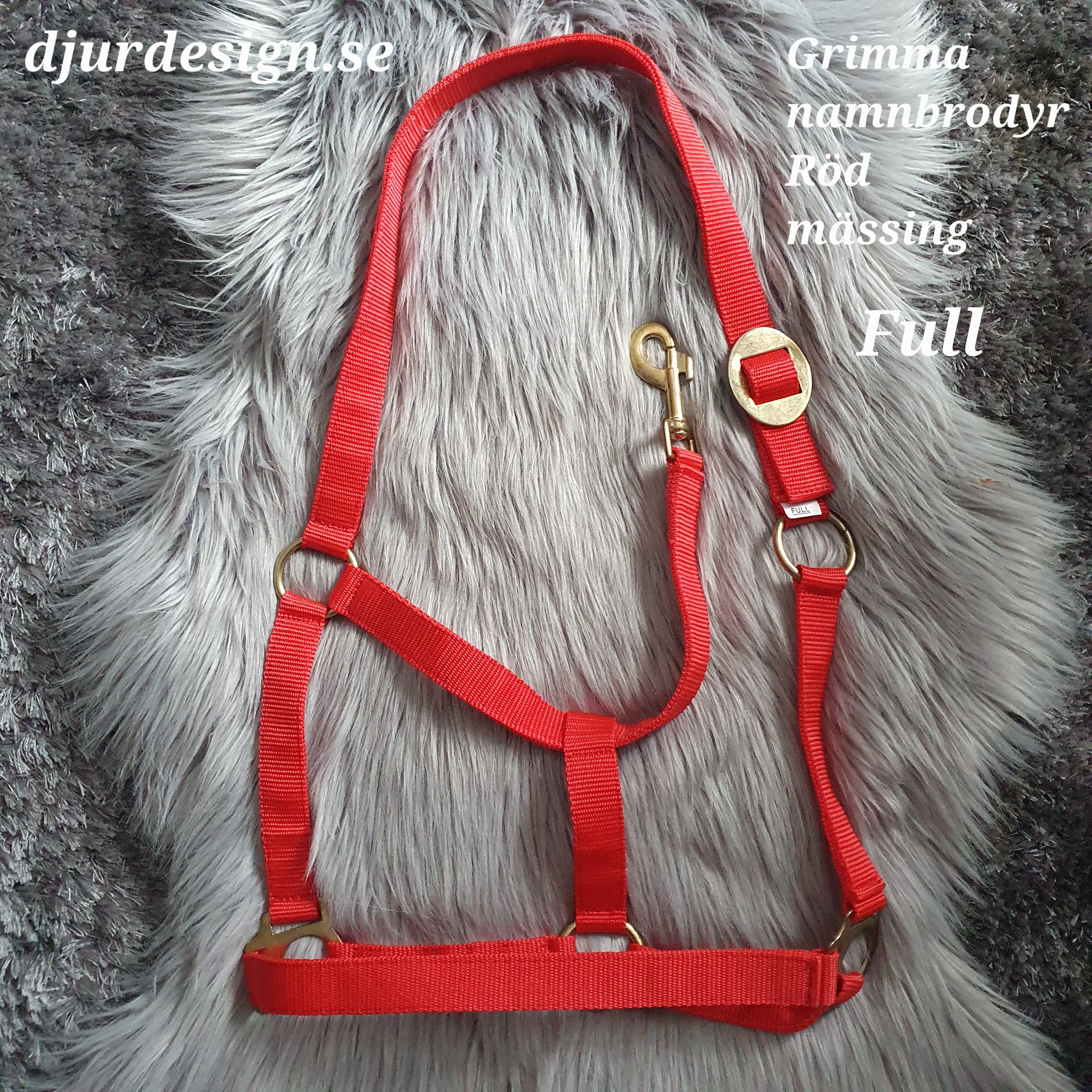 FULL Röd mässing grimma med namn brody A-B 50 cm C-D 34 cm - 9