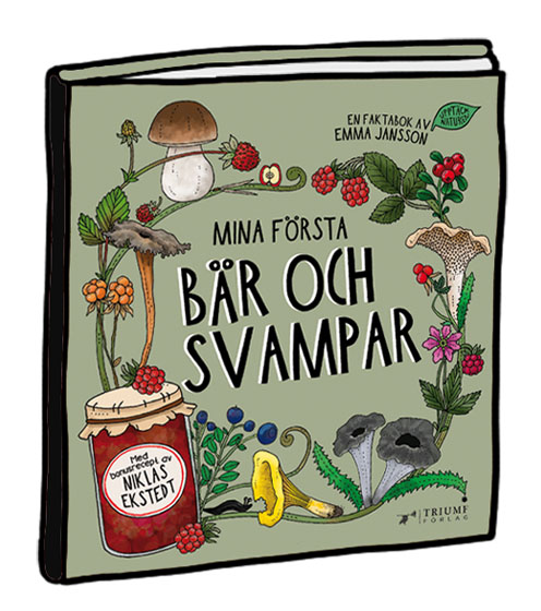 Mina första bär och svampar