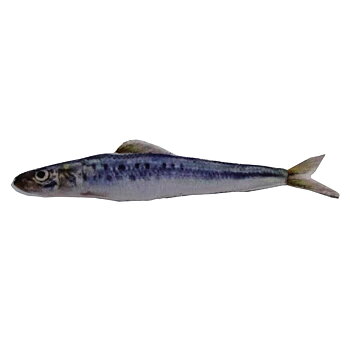 Kattleksak Makrill small Tyrol