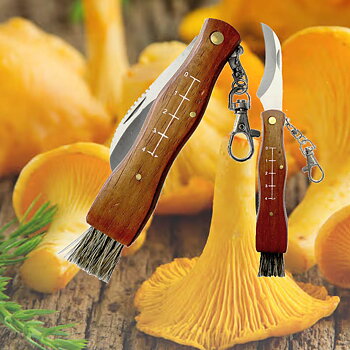 Svampkniv med borste och vikbart blad. 