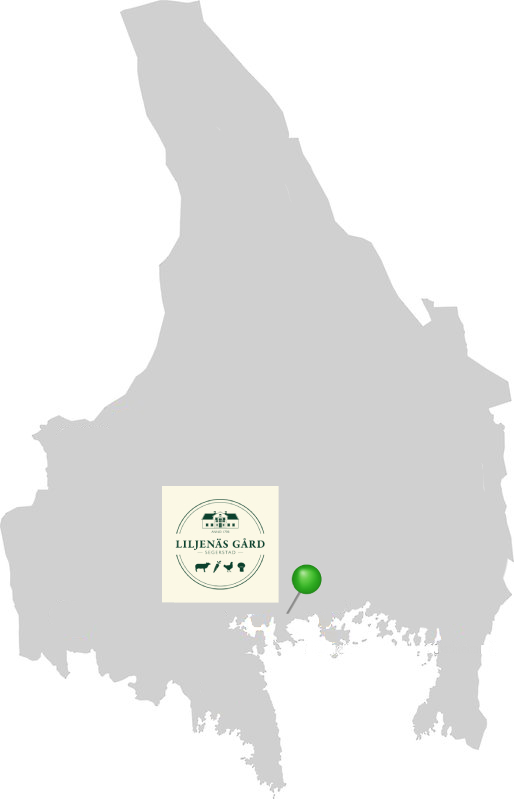 Färska champinjoner Liljenäs Gård, ca 3 kg.  - 3