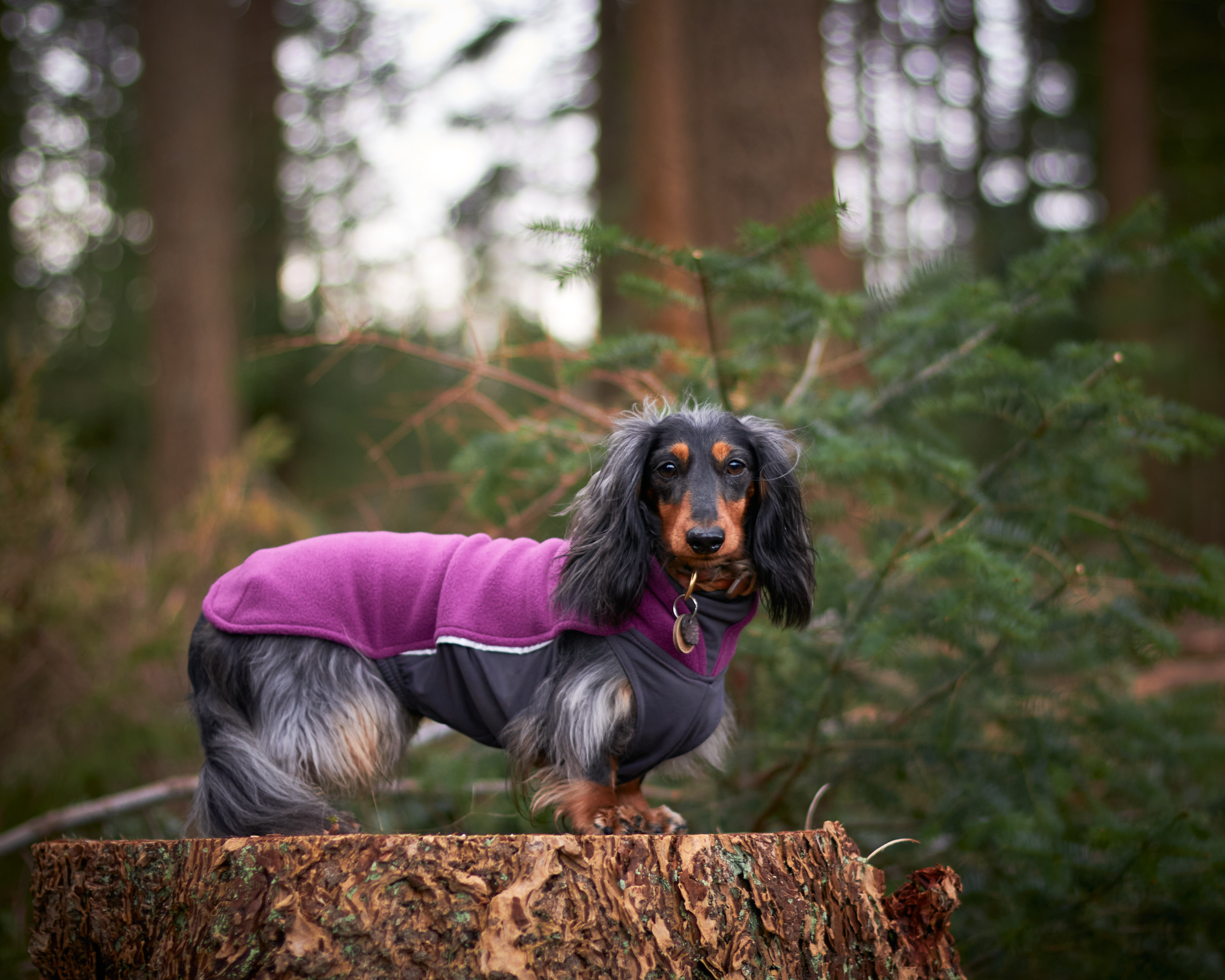 Jumppa Pomppa Fleecetäcke - Plum - 8