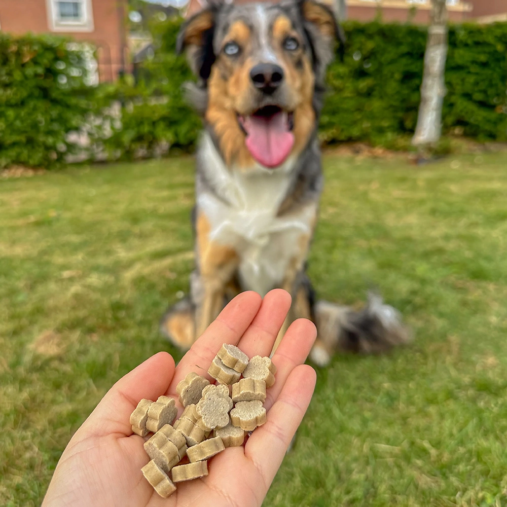 Soopa healthy bites - spannmålsfritt hundgodis - 13