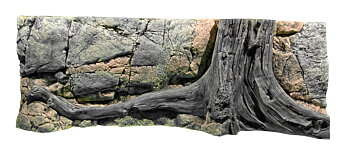 Back to Nature - Amazonas 150x50cm