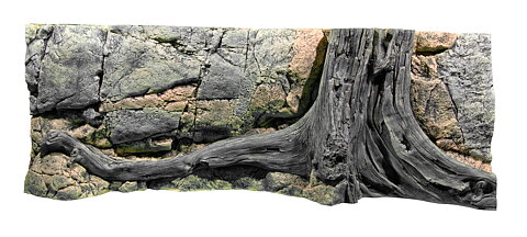 Back to Nature - Amazonas 150x50cm
