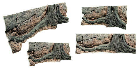 Back to Nature - Amazonas 150x50cm