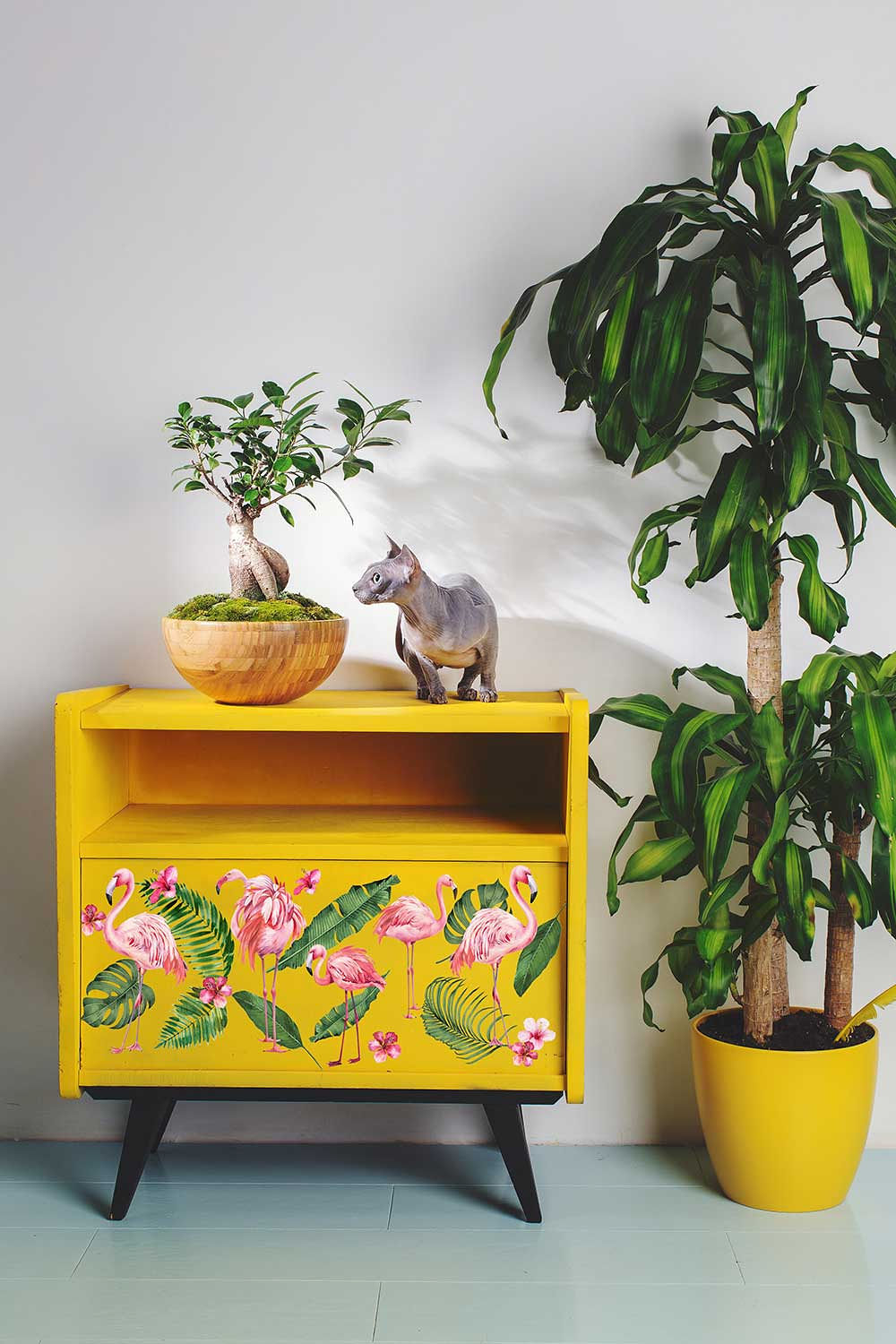 Transfer - Flamingo Pink  - 2